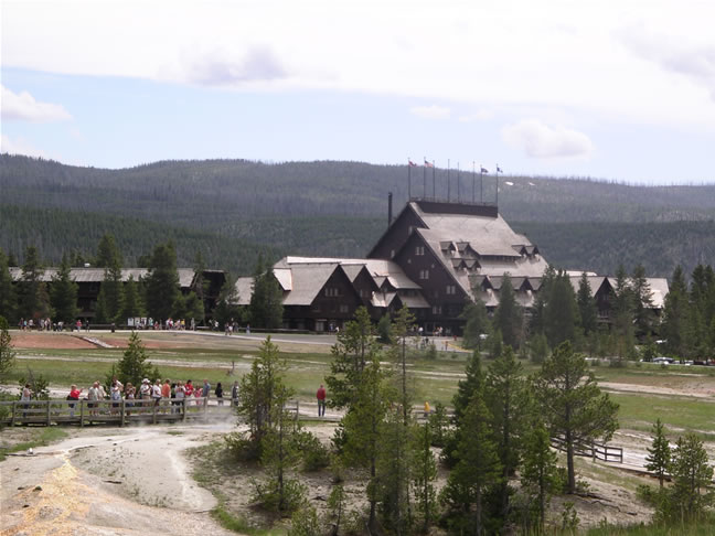 images/B-Anemone (1).jpg